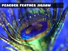 Unraveling the Beauty of Peacock Feather Jigsaw – A Fun and Challenging Puzzle Game